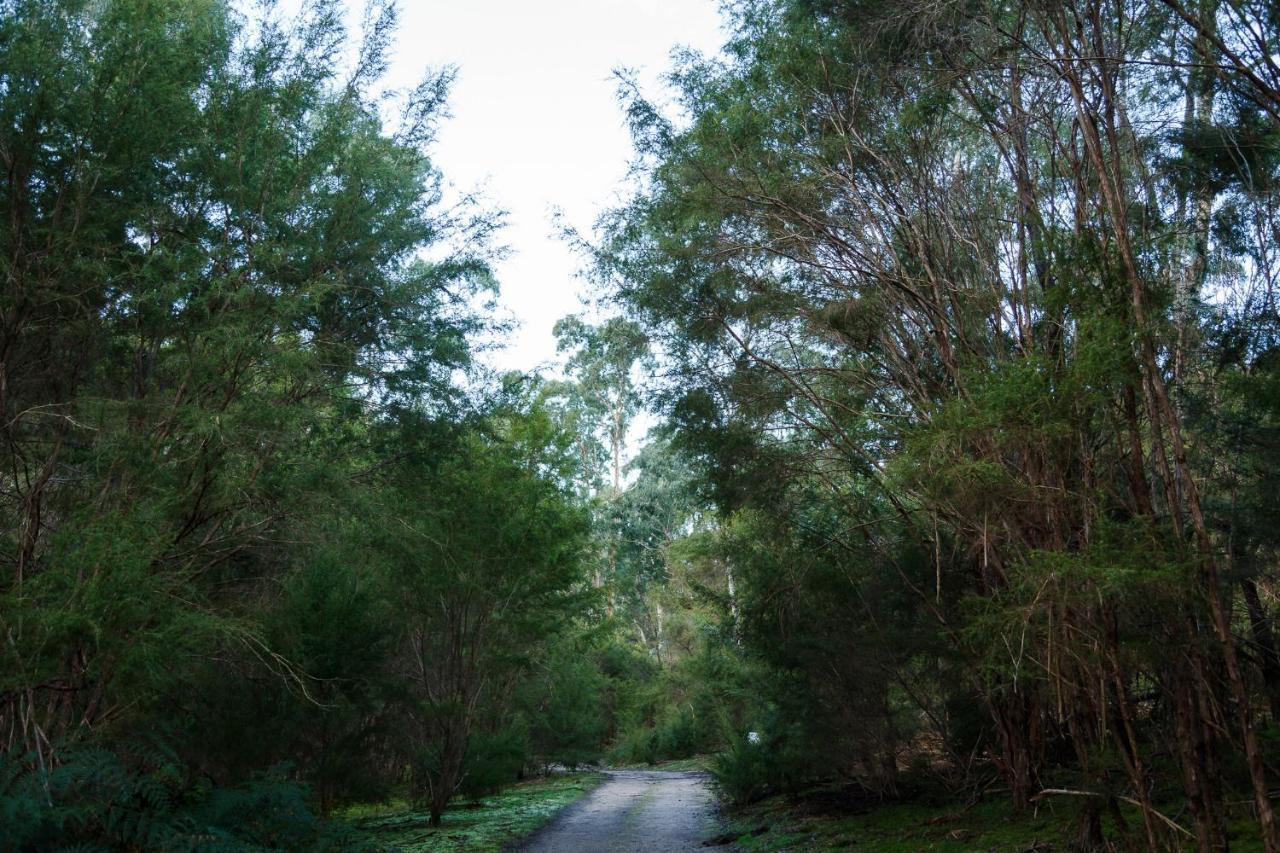 Yering Gorge Cottages Luaran gambar
